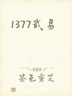 1377武易