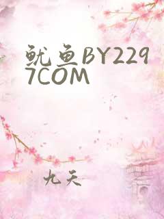 鱿鱼BY2297COM