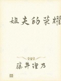 姐夫的荣耀续集