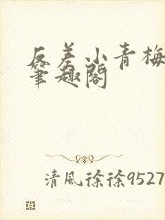 反差小青梅小说笔趣阁