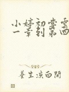 小婷初尝云雨第一章到第四章