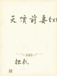 天价前妻txt