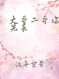 大哥二哥你们谁先来