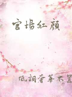 官场红颜