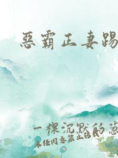 恶霸正妻踢娇妾