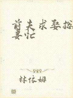 前夫求娶总裁追妻忙