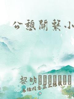 公憩关系小说