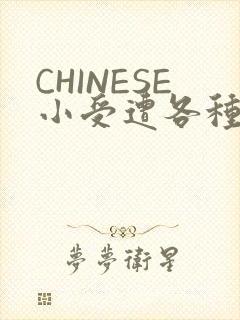 CHINESE小受遭各种打桩