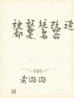 被系统改造全身都是名器