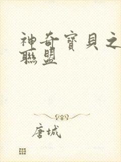 神奇宝贝之城都联盟