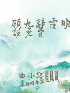 顾九辞霍明澈小说免费