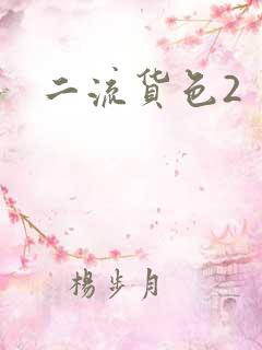 二流货色2