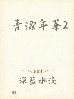 青涩年华2