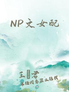 NP文女配