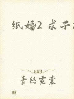 纸婚2 求子记