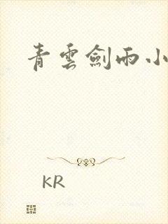 青云剑雨小说