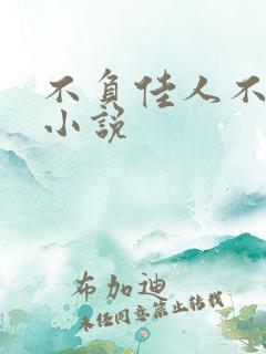 不负佳人不负卿小说