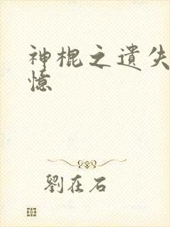 神棍之遗失的记忆