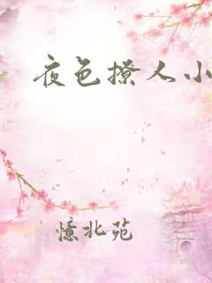 夜色撩人小说