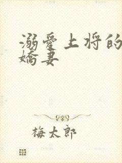 溺爱上将的宝贝娇妻