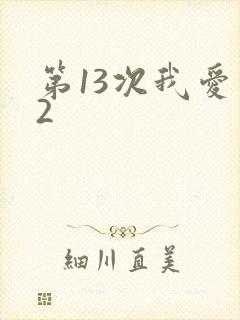 第13次我爱你2