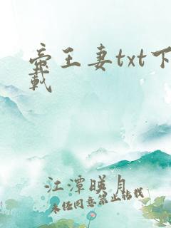 帝王妻txt下载