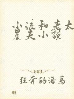 小流和老太69农夫小说