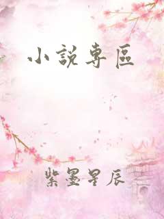 小说专区