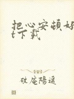 把心安顿好txt下载