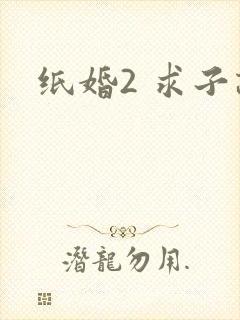 纸婚2 求子记