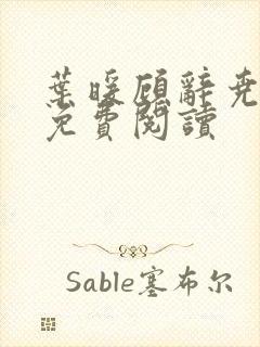 叶暖顾辞尧小说免费阅读