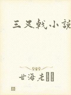 三叉戟小说