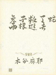 兔子救了蛇被蛇两根进去