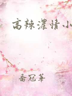 高辣浓情小说