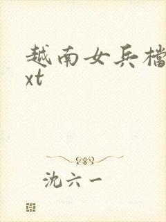 越南女兵档案txt