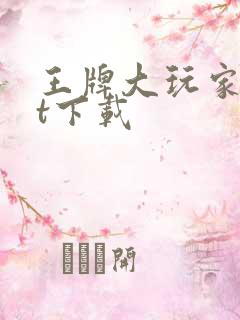 王牌大玩家txt下载