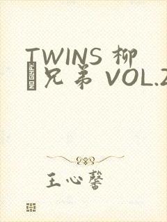 TWINS 柳澤兄弟 VOL.2