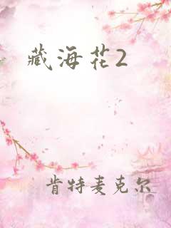 藏海花2