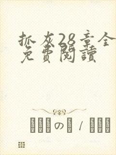 抓灰28章全部免费阅读