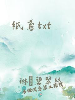 纸鸢txt