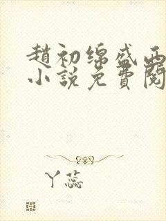 赵初绵盛西舫的小说免费阅读
