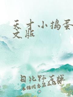 天才小捣蛋2中文版