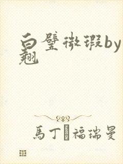 白璧微瑕by连翘