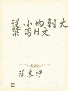 从小肉到大师傅禁脔H文