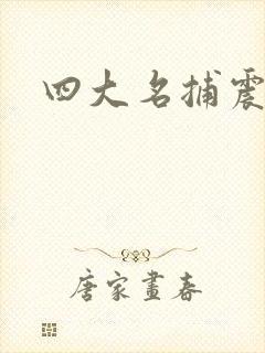 四大名捕震关东