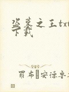 盗墓之王txt下载