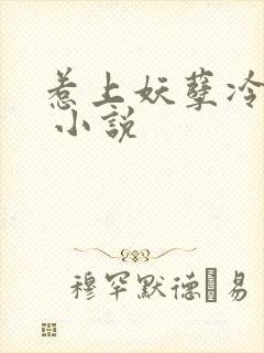 惹上妖孽冷殿下 小说