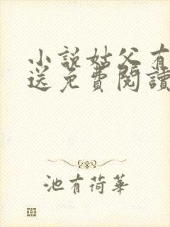 小说姑父有力挺送免费阅读