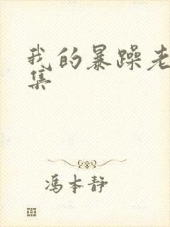 我的暴躁老妈全集