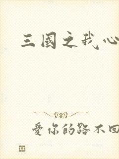 三国之我心狂想
